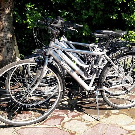 36 Cattolica Apartman Kültér fotó