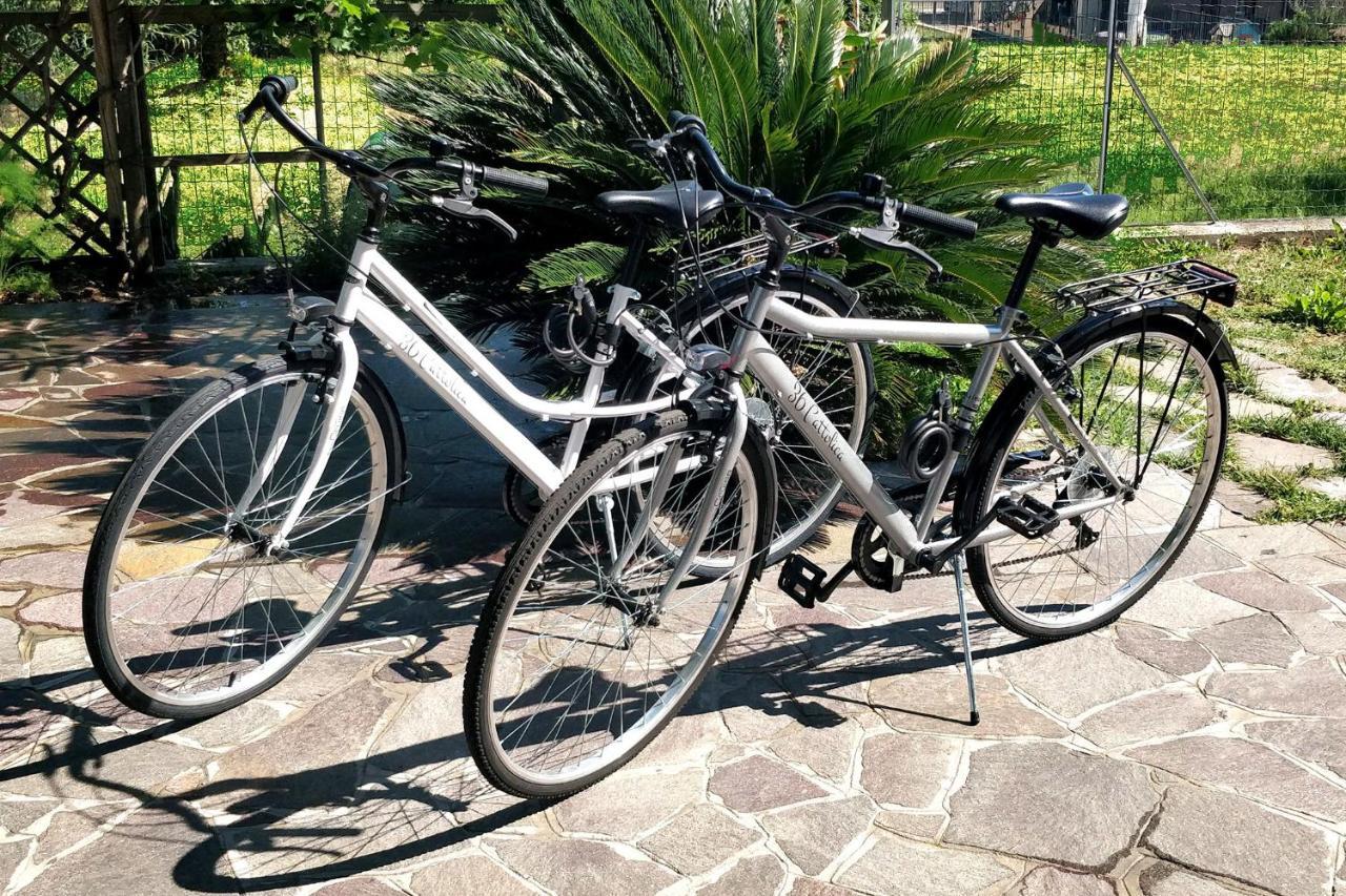 36 Cattolica Apartman Kültér fotó